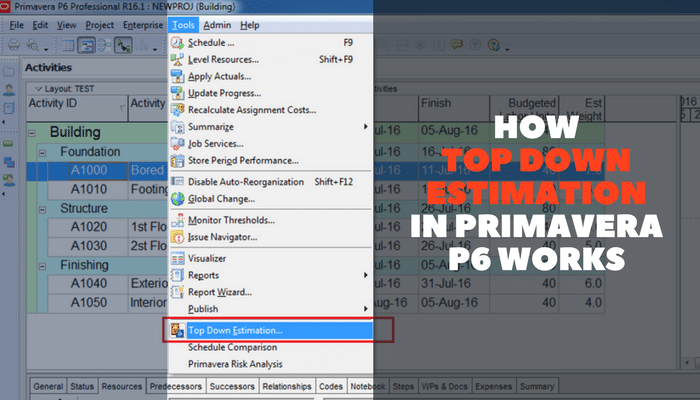 Top Down Estimation in Primavera P6